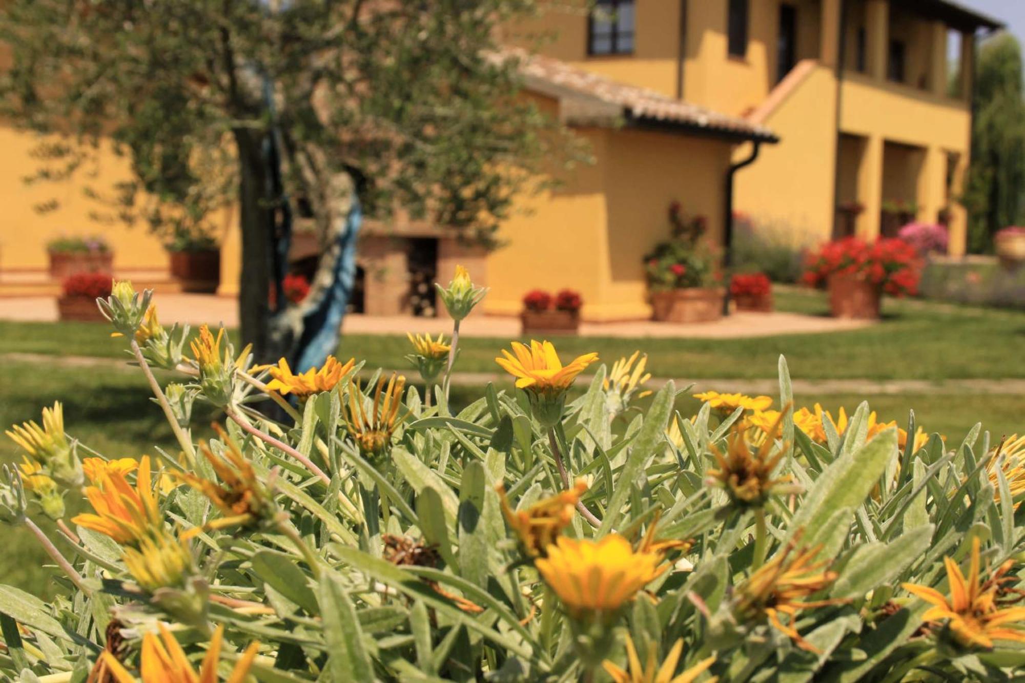 Podere Tre Cipressi Aparthotel Campiglia Marittima Exterior foto